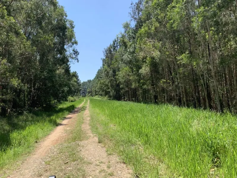 Ramms Road Trail (East of M1)