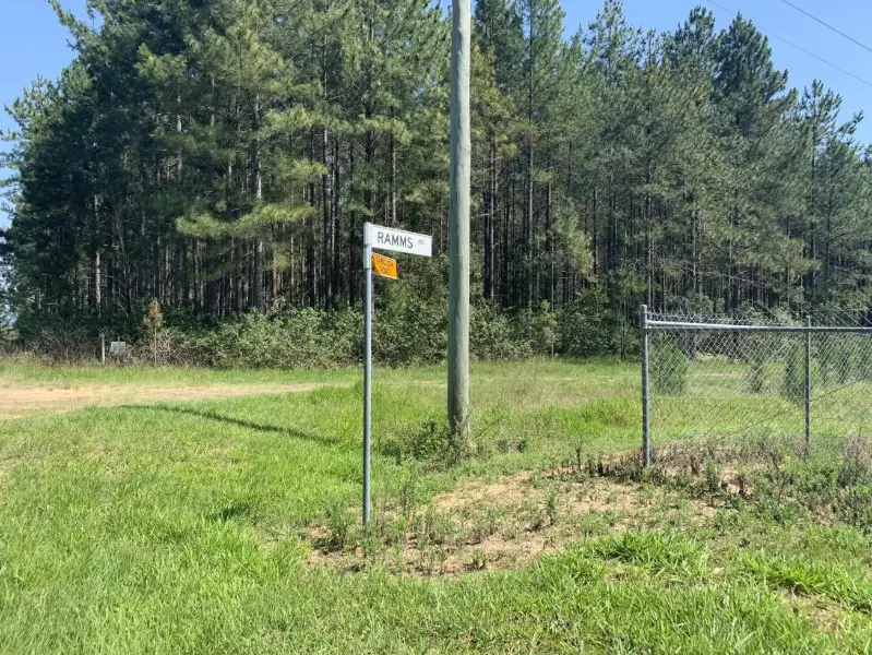 Ramms Road Trail (East of M1)