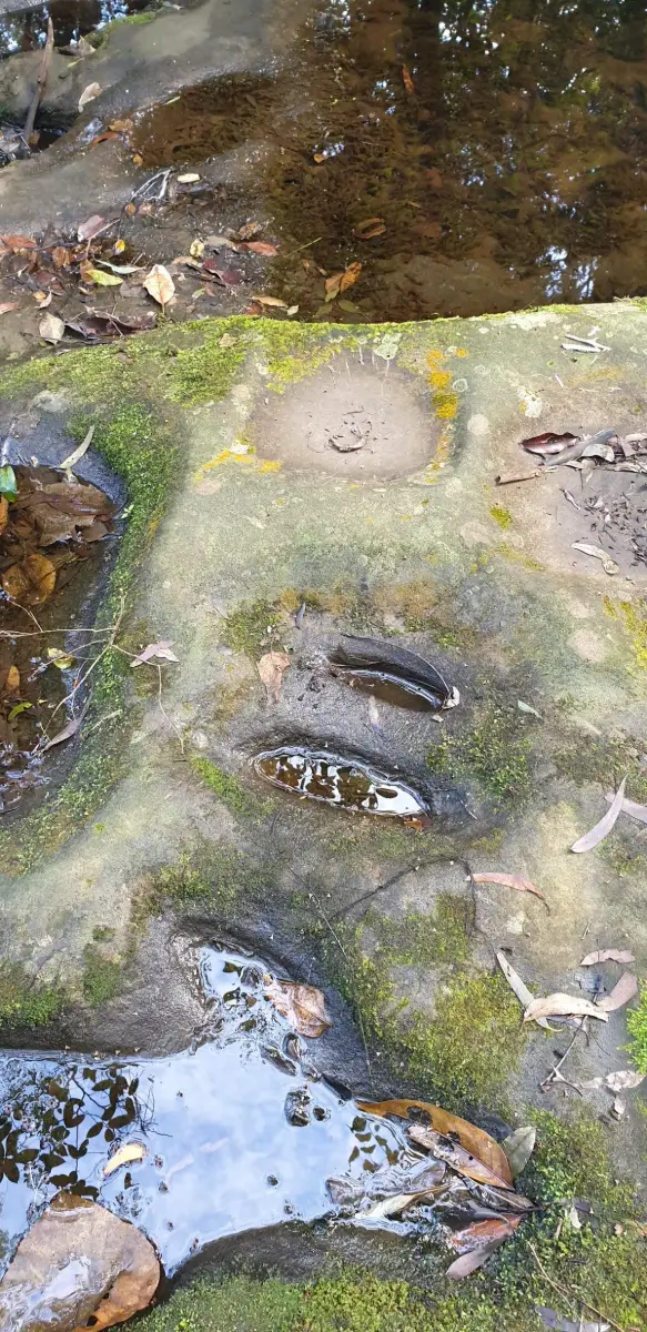 Little Rocky Creek: Axe Grinding Site