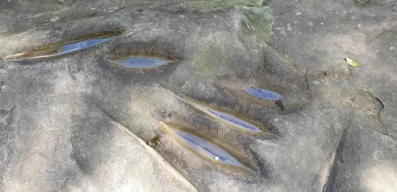 Little Rocky Creek: Axe Grinding Site