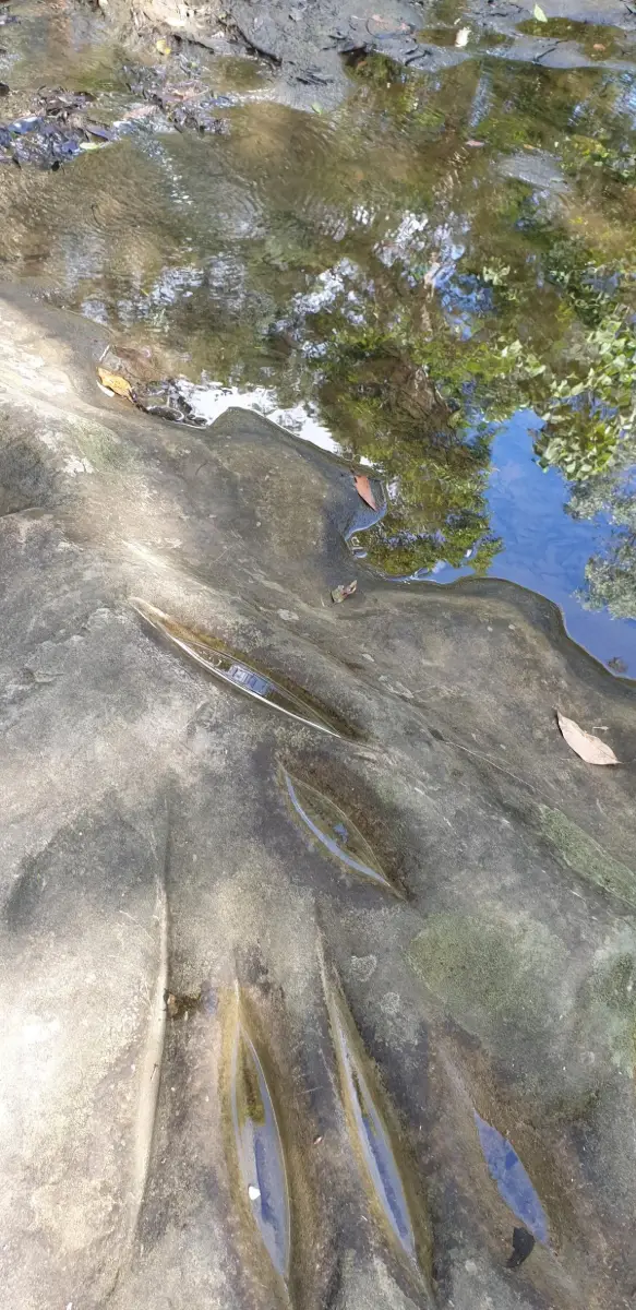 Little Rocky Creek: Axe Grinding Site
