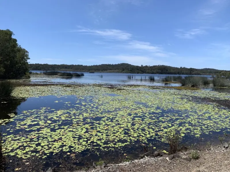 Ewen Maddock Dam Main Track