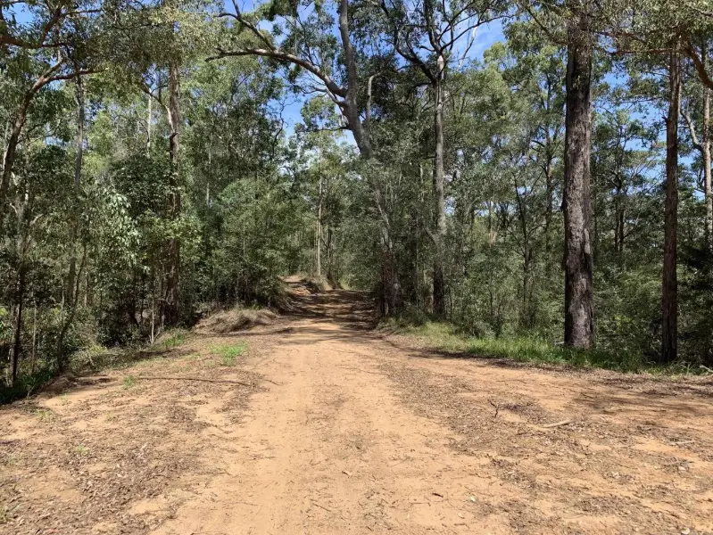 Peachester State Forest: Long Trail
