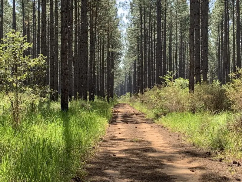 Rapkins Road Trail (West of M1)