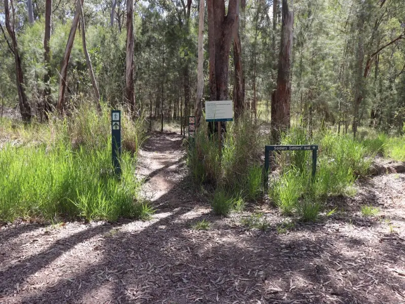 Glass House Mountains National Park: Yul-yan-man Track