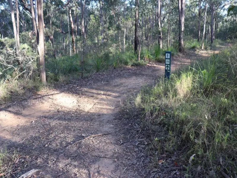 Glass House Mountains National Park: Yul-yan-man Track