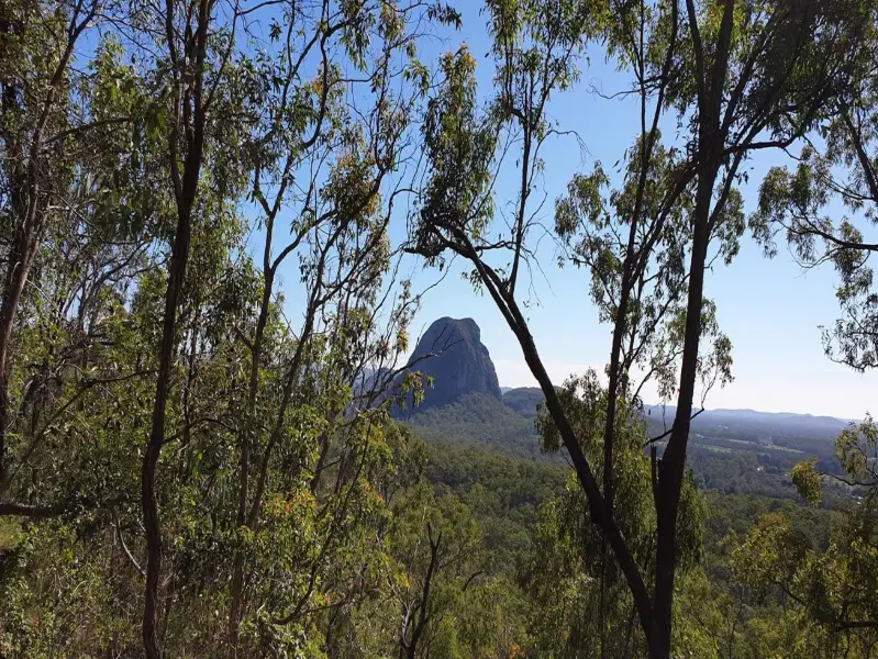 Glass House Mountains National Park: Yul-yan-man Track