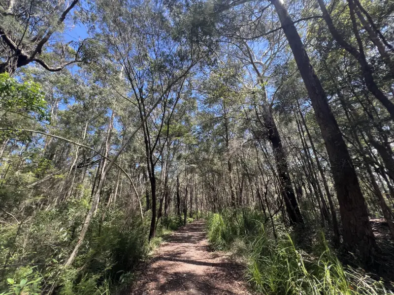 Jill Chamberlain Nature Refuge
