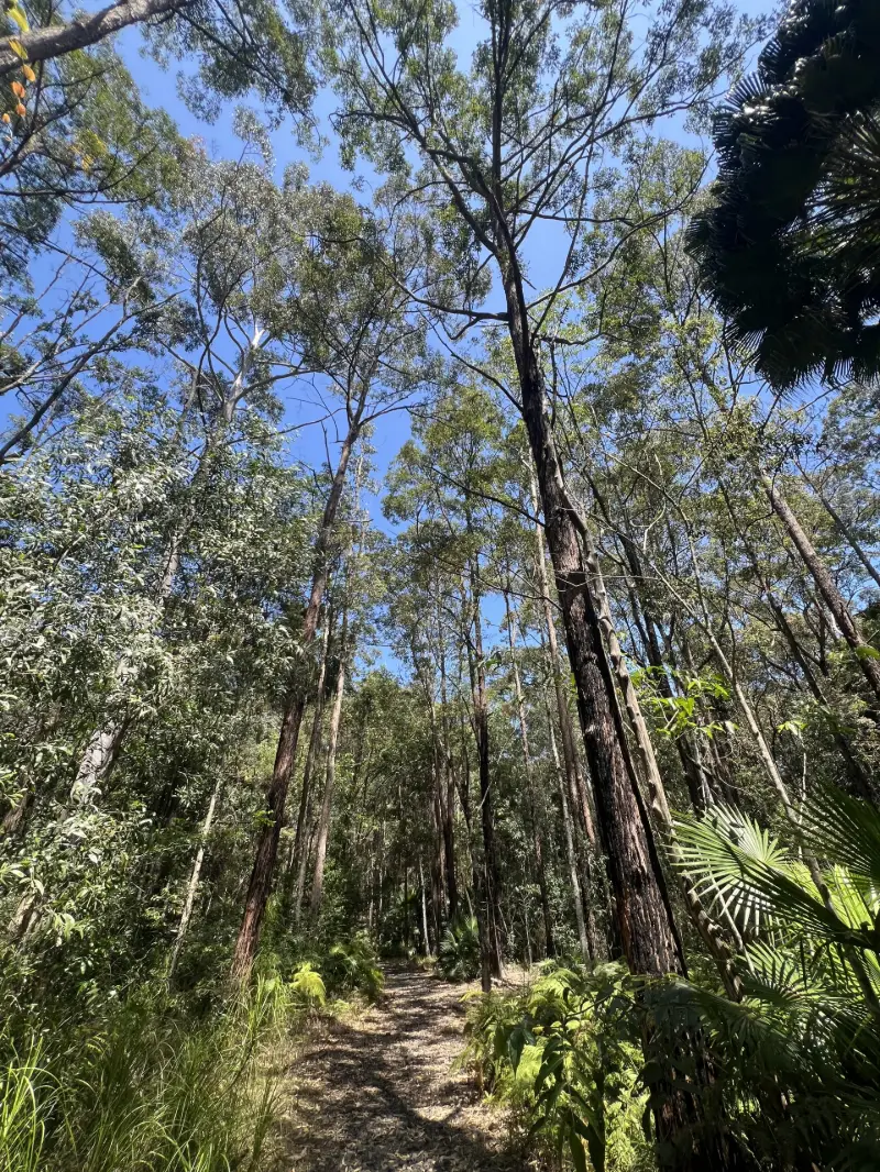 Jill Chamberlain Nature Refuge