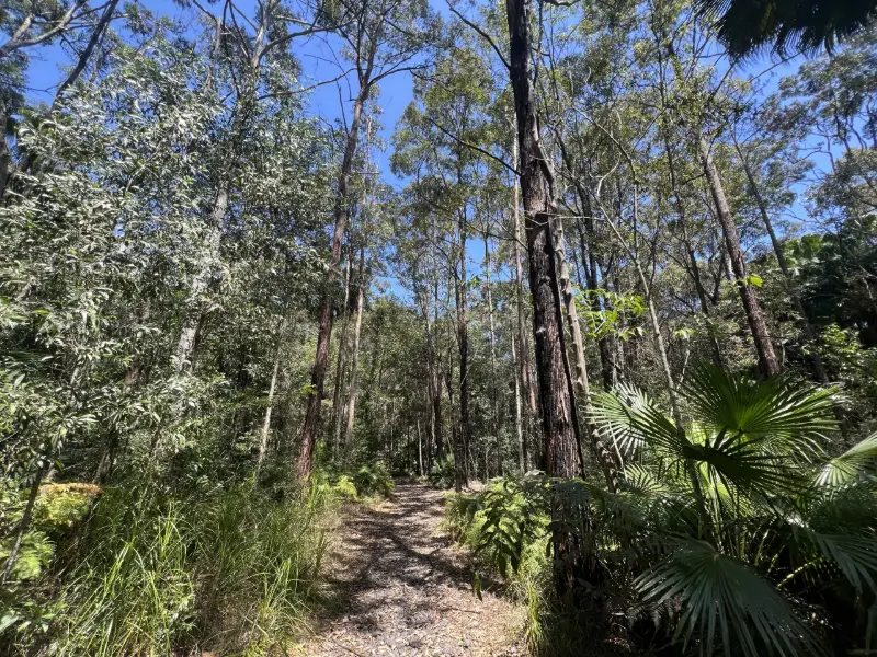 Jill Chamberlain Nature Refuge