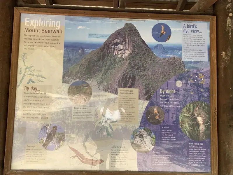 Glass House Mountains National Park: Mt Beerwah View