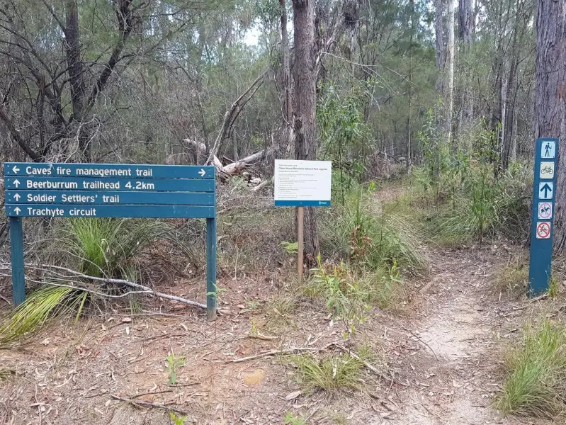 Glass House Mountains National Park: Mathew Flinders Park to Jack Ferris Lookout