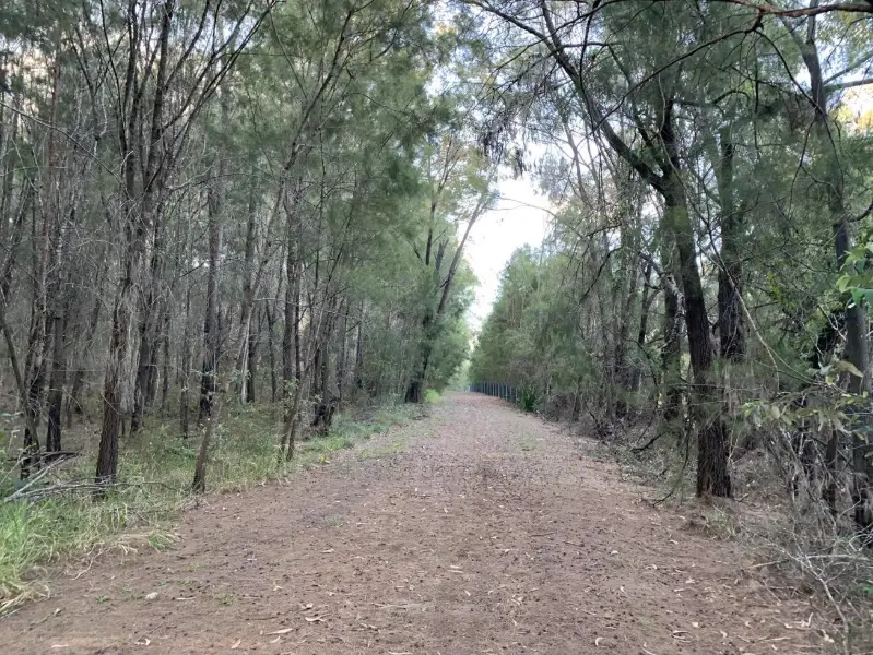 Glass House Mountains National Park: Soldier Settlers Loop 