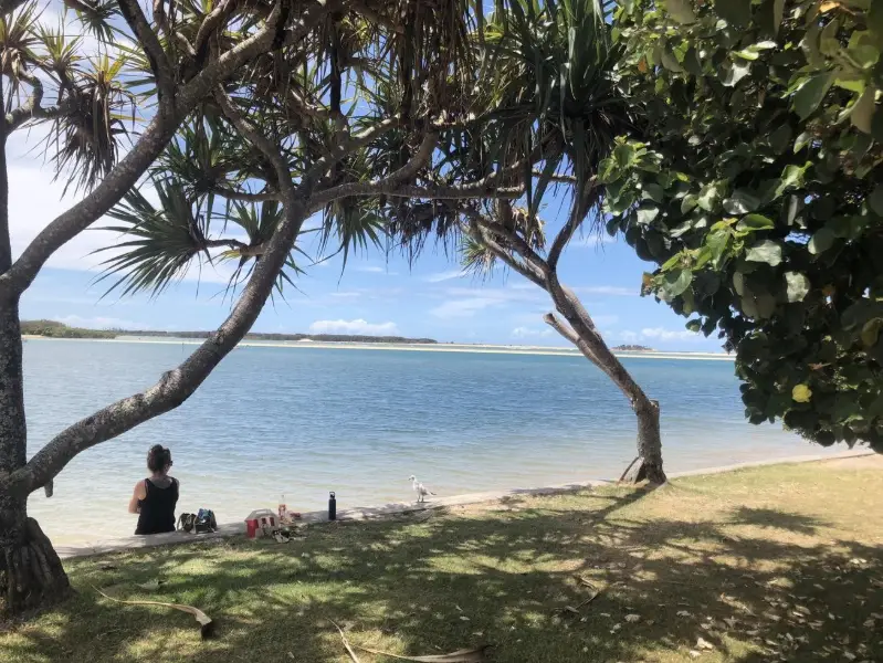 Coastal Pathway: Maroochydore to Alex Surf Club
