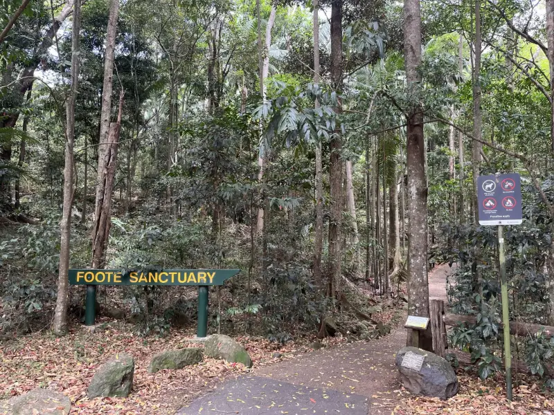Buderim Walks: EJ Foote Walk