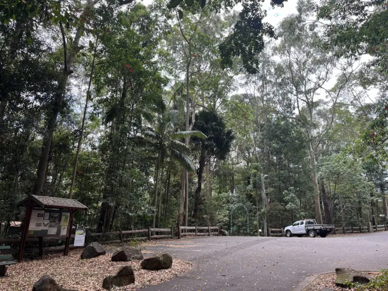 Buderim Walks: EJ Foote Walk