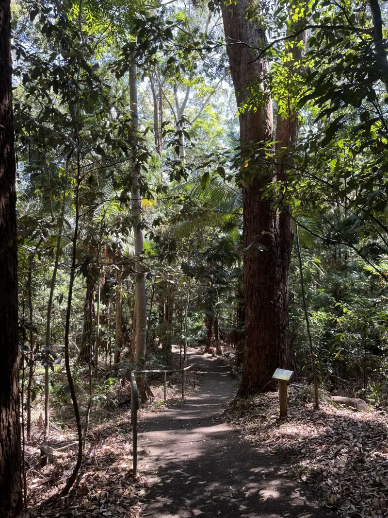 Buderim Walks: EJ Foote Walk