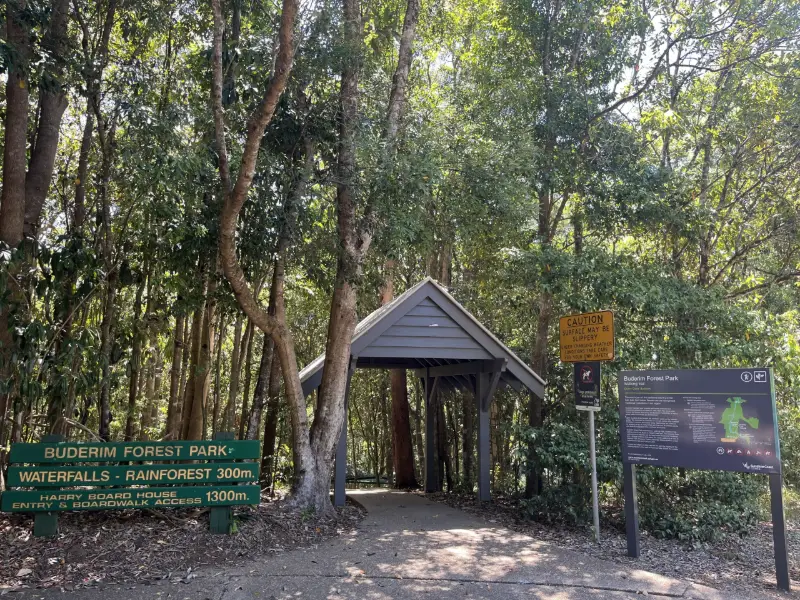 Buderim Walks: Serenity Falls Walk