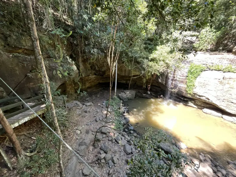 Buderim Walks: Serenity Falls Walk