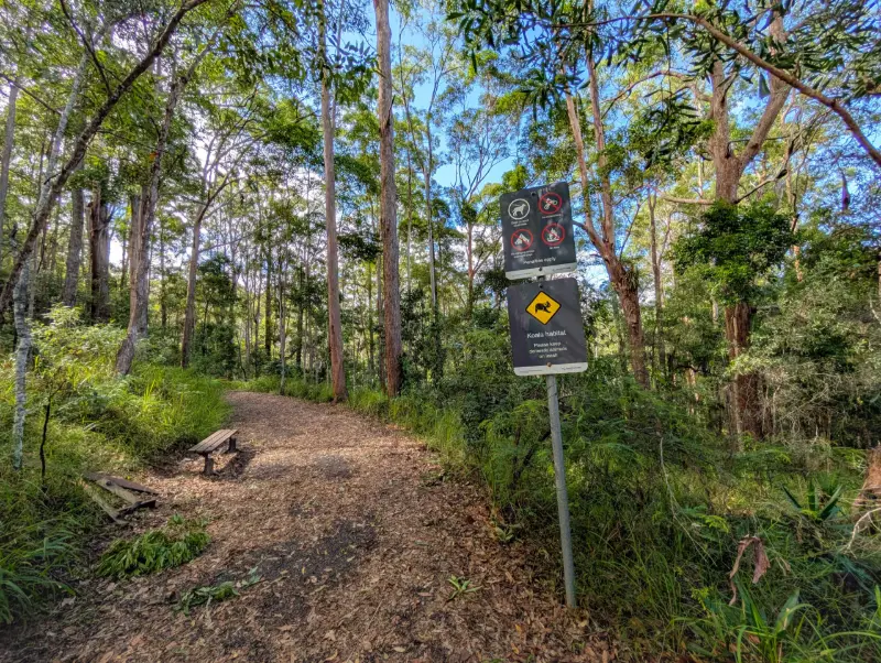 Buderim Tramway Trail
