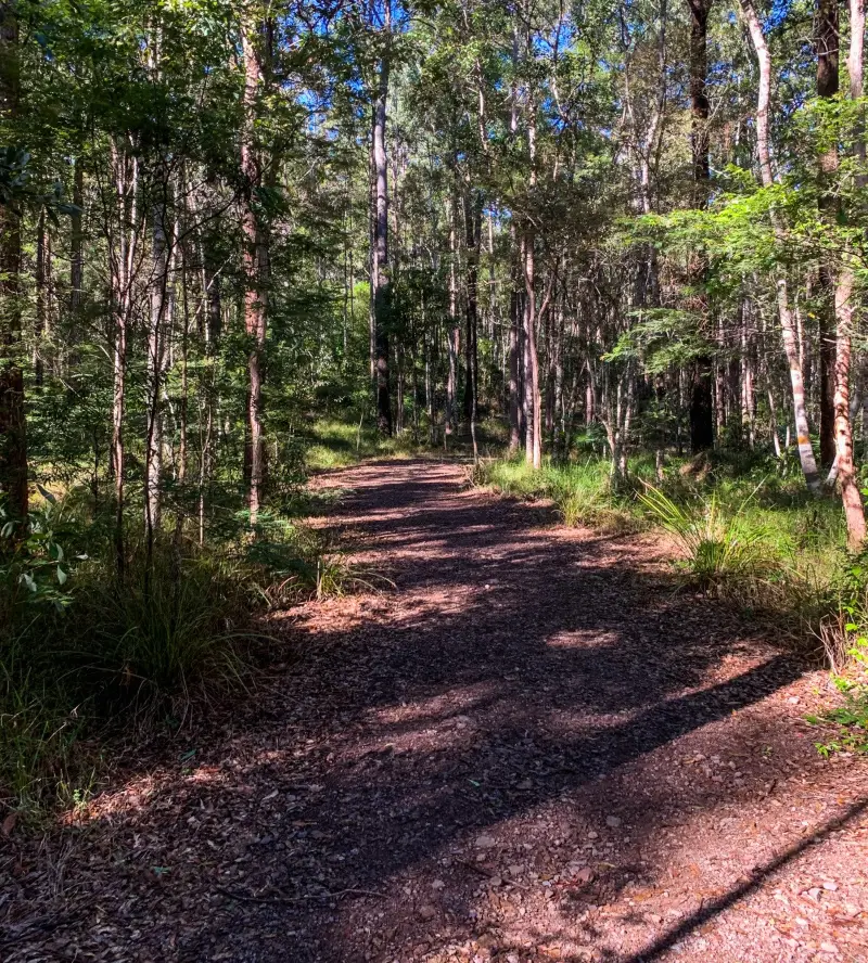 Maroochy Regional Bushland Botanic Garden: Upland Bushwalk