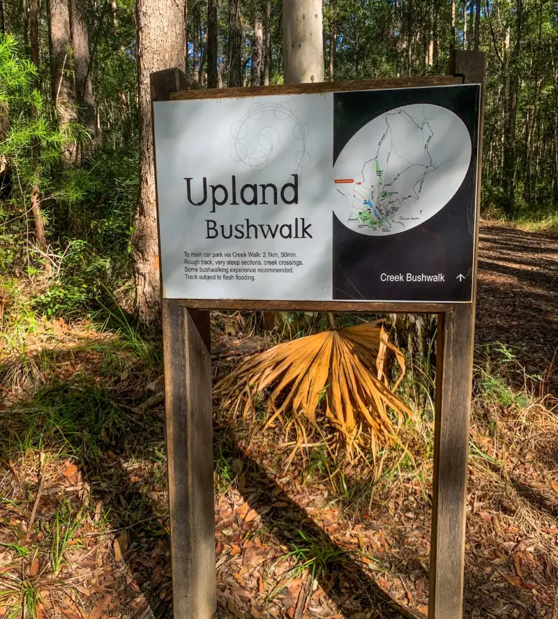 Maroochy Regional Bushland Botanic Garden: Upland Bushwalk
