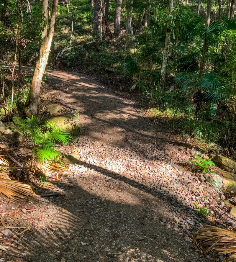 Maroochy Regional Bushland Botanic Garden: Upland Bushwalk