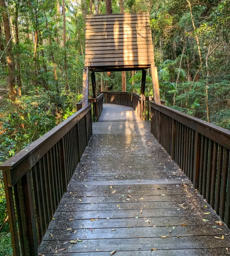 Maroochy Regional Bushland Botanic Garden: Lagoon walk