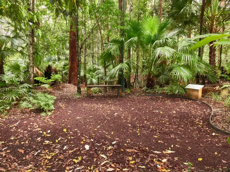 Maroochy Regional Bushland Botanic Garden: Mossy Log Walk