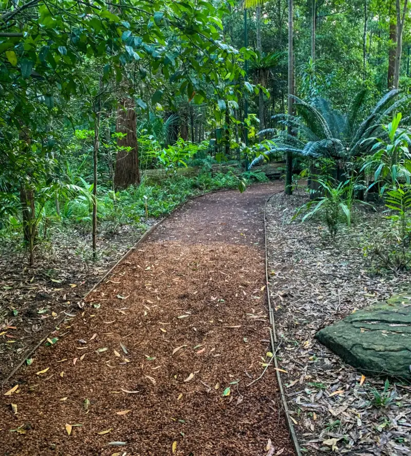 Maroochy Regional Bushland Botanic Garden: Mossy Log Walk