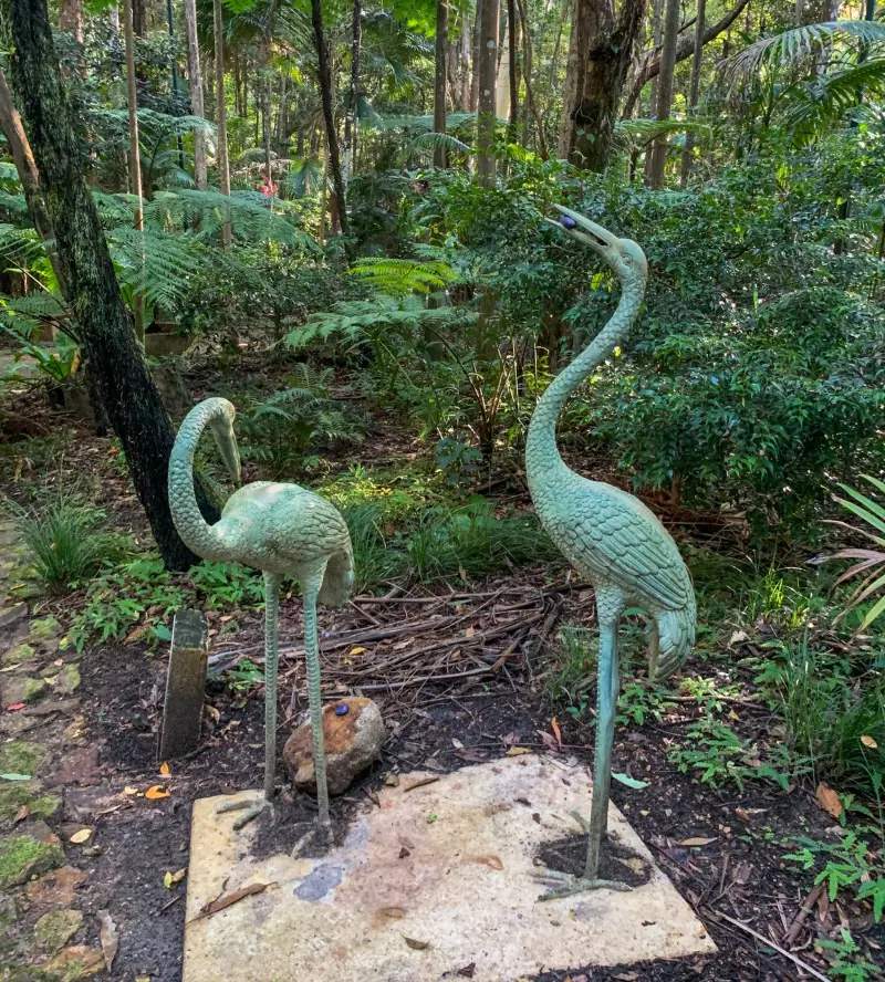Maroochy Regional Bushland Botanic Garden: Fern Glade walk