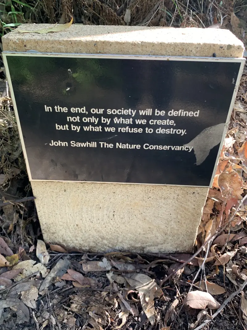 Maroochy Regional Bushland Botanic Garden: Sculpture Garden walk