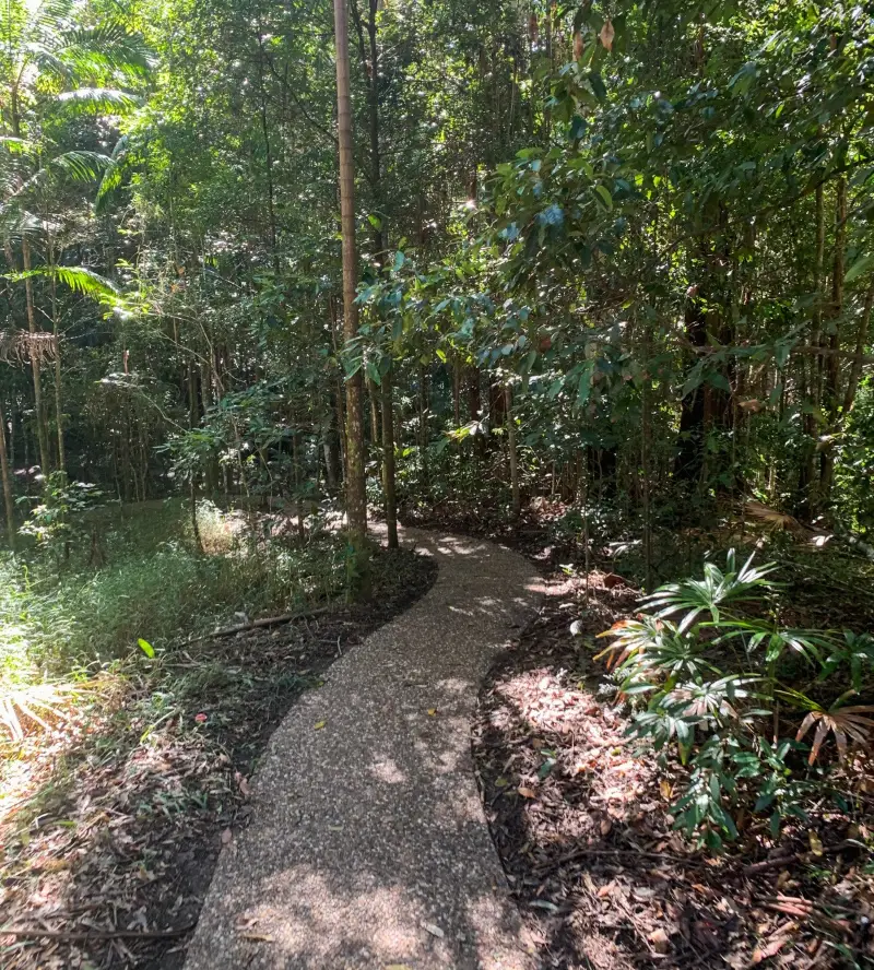 Maroochy Regional Bushland Botanic Garden: Ephemeral Wetland Walk