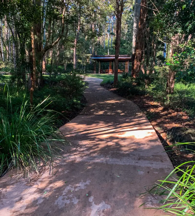 Maroochy Regional Bushland Botanic Garden: Whipbird walk 