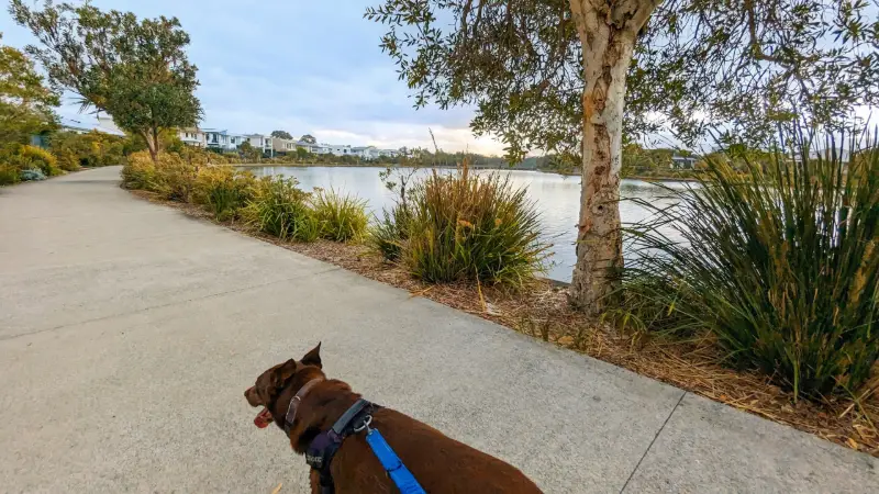 Brightwater Loop the Lake