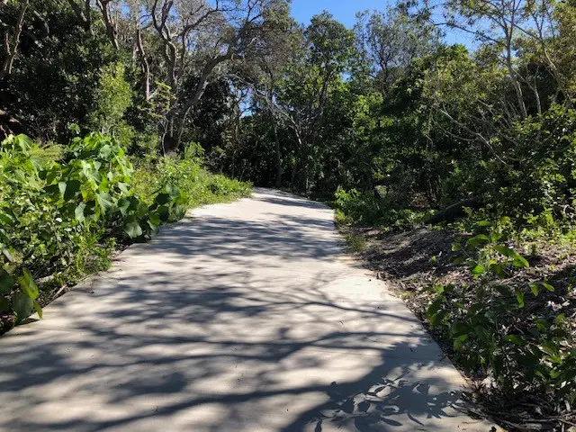 Coastal Pathway Bokarina Beach to Warana Beach Access 238