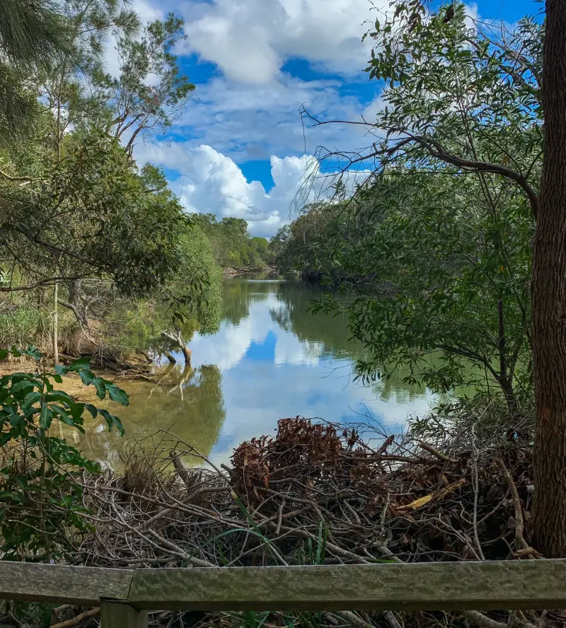 Currimundi South Arm Loop