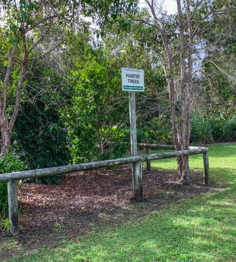 Currimundi South Arm Loop