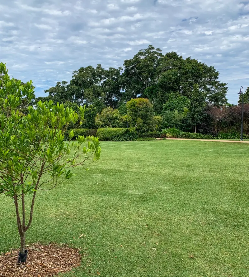 Buderim Village Park