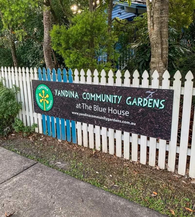 A Journey through Yandina