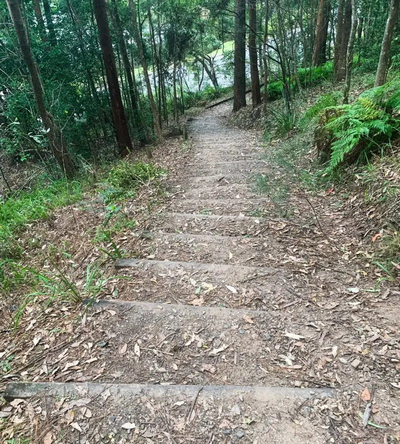 Koala Park Recreation Loop