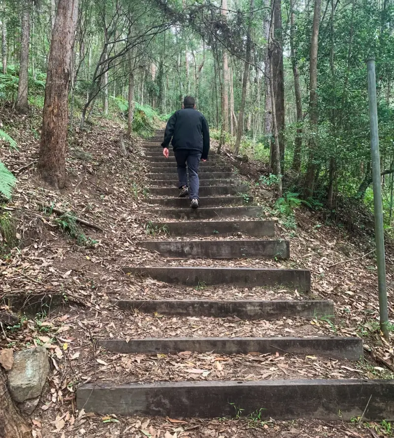 Koala Park Recreation Loop