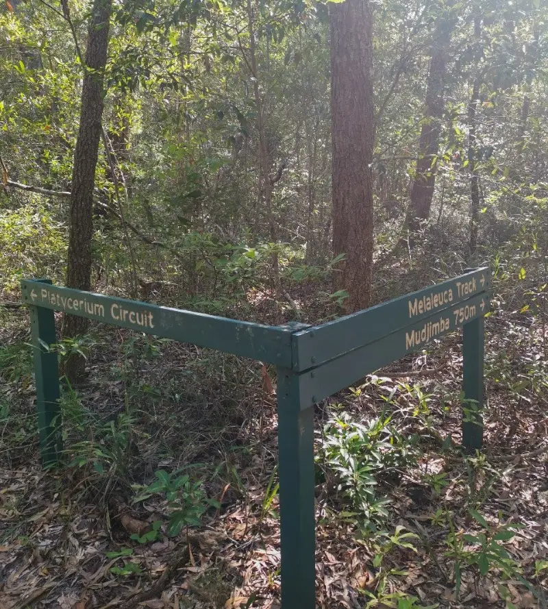 Maroochy River Conservation Park walk