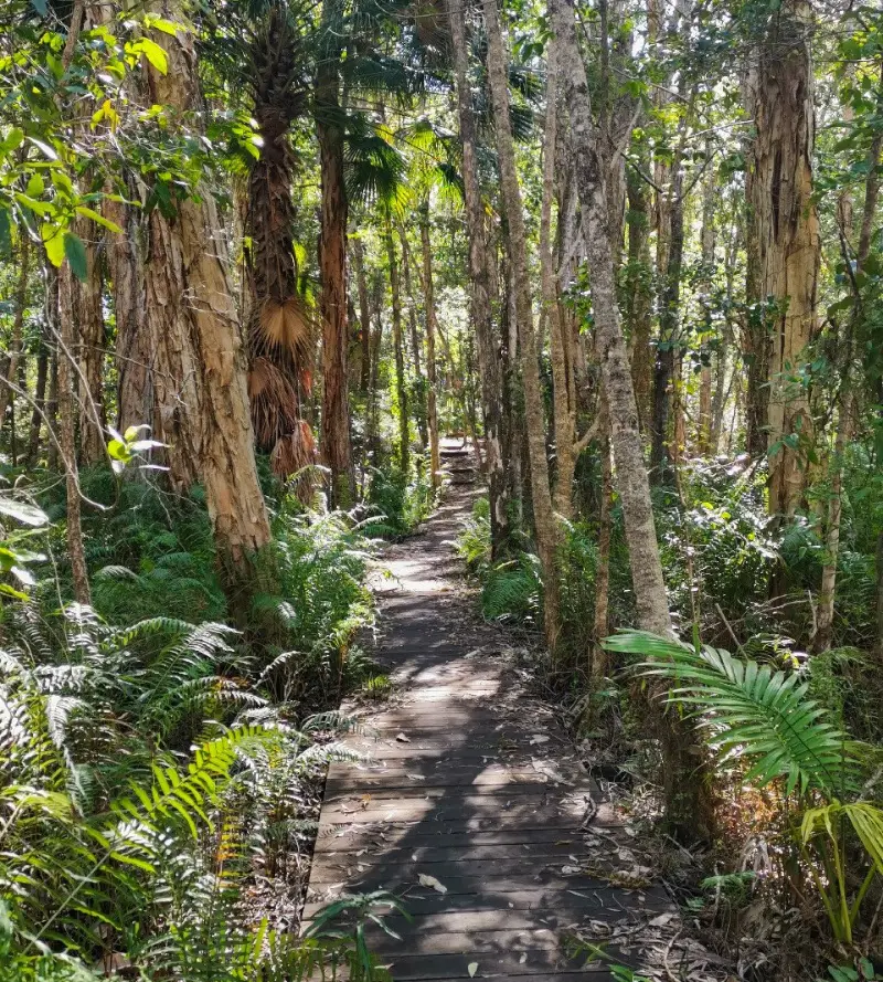 Maroochy River Conservation Park walk