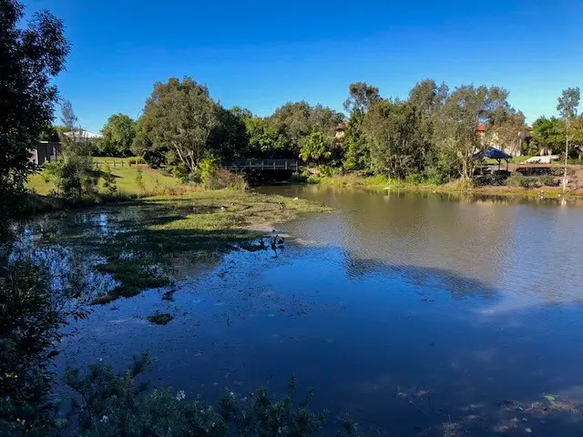 Peregian Springs: The Avenue Park to Waterville Way Park