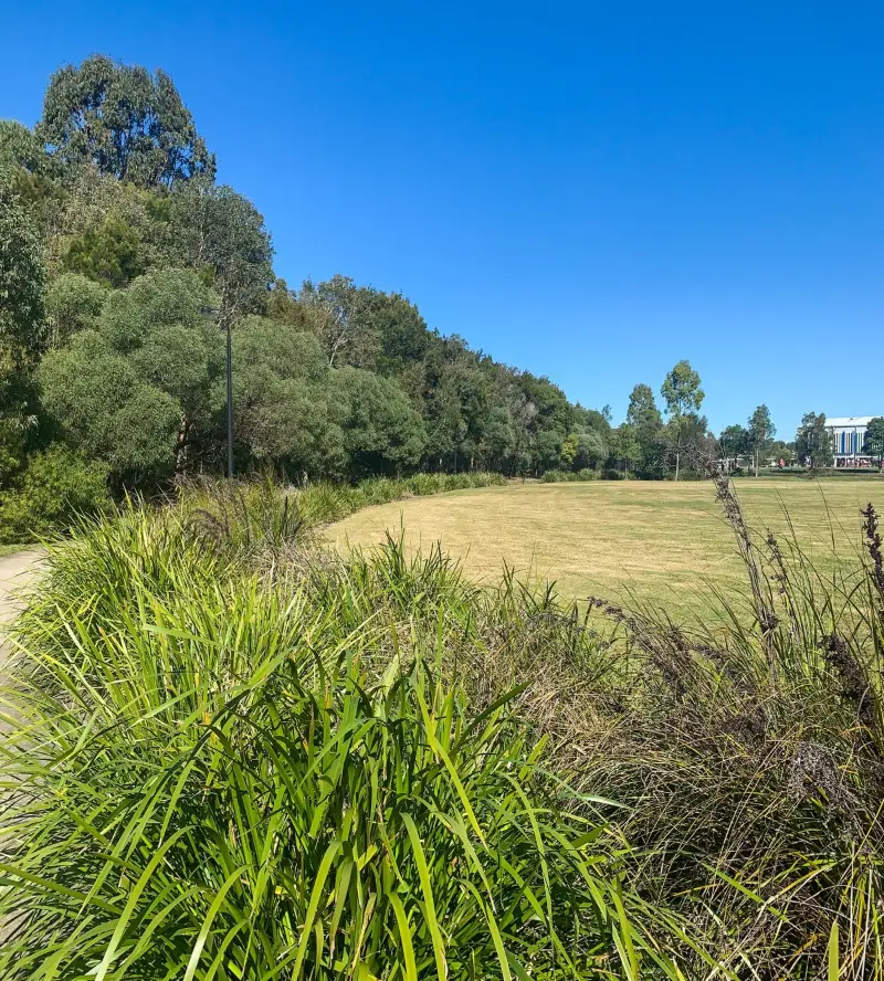 Brightwater Sports Precinct