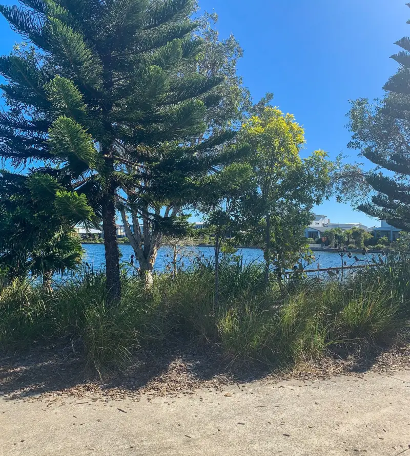 Brightwater Sports Precinct