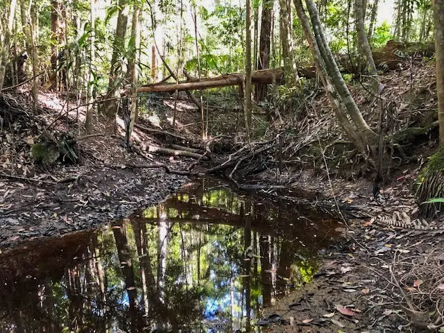 Eumundi Conservation Park: Ironbark Trail