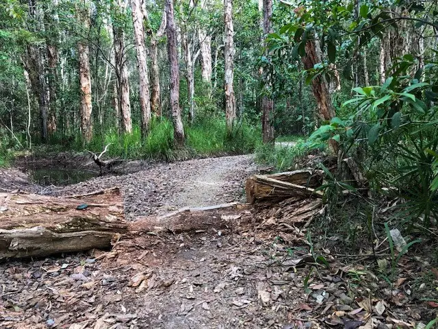 Eumundi Conservation Park: Ironbark Trail