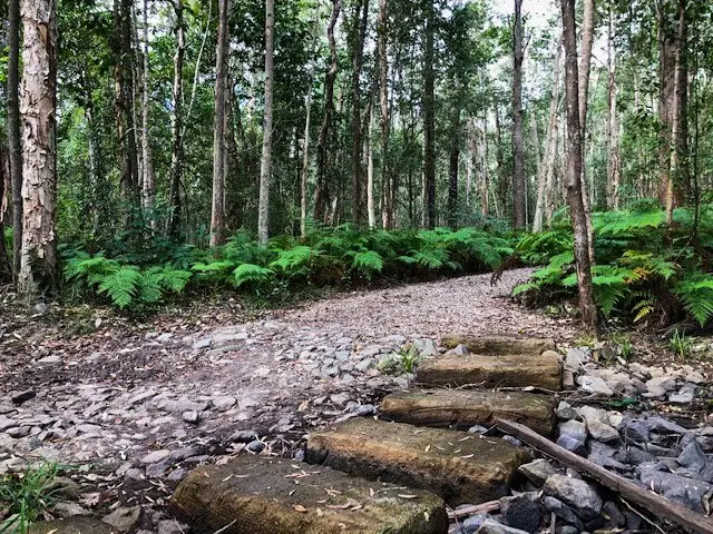Eumundi Conservation Park: Ironbark Trail